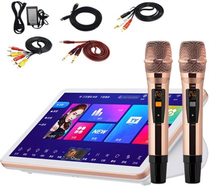 Karaoke profesional con mezclador LURECAQING B-2T - pantalla táctil 18,5 pulgadas 2 micrófonos y canciones en línea-Havenupyard