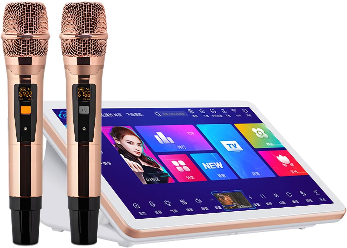 Máquina de karaoke LURECAQING B-500G - pantalla táctil para letras 2 micrófonos canciones en la nube y fiestas al aire libre-Havenupyard