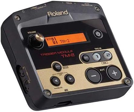 Roland TM 2 - Módulo de trigger para batería acústica - 2 entradas y carcasa compacta multicolor-Havenupyard