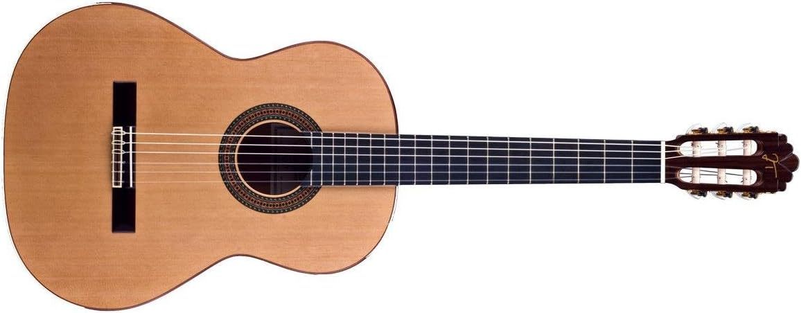 Jose Torres JTC 40 - Guitarra clásica dorada - cedro y caoba - diapasón de ébano - orientación ambidiestra-Havenupyard