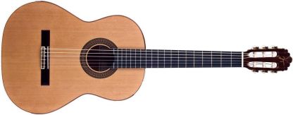 Jose Torres JTC 40 - Guitarra clásica dorada - cedro y caoba - diapasón de ébano - orientación ambidiestra-Havenupyard