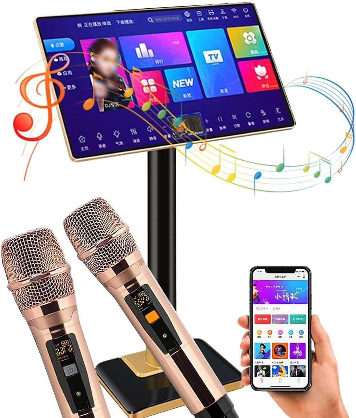 Máquina de karaoke profesional 21.5 pulgadas - Pantalla táctil capacitiva - Micrófono inalámbrico - Amplificador 3T-Havenupyard