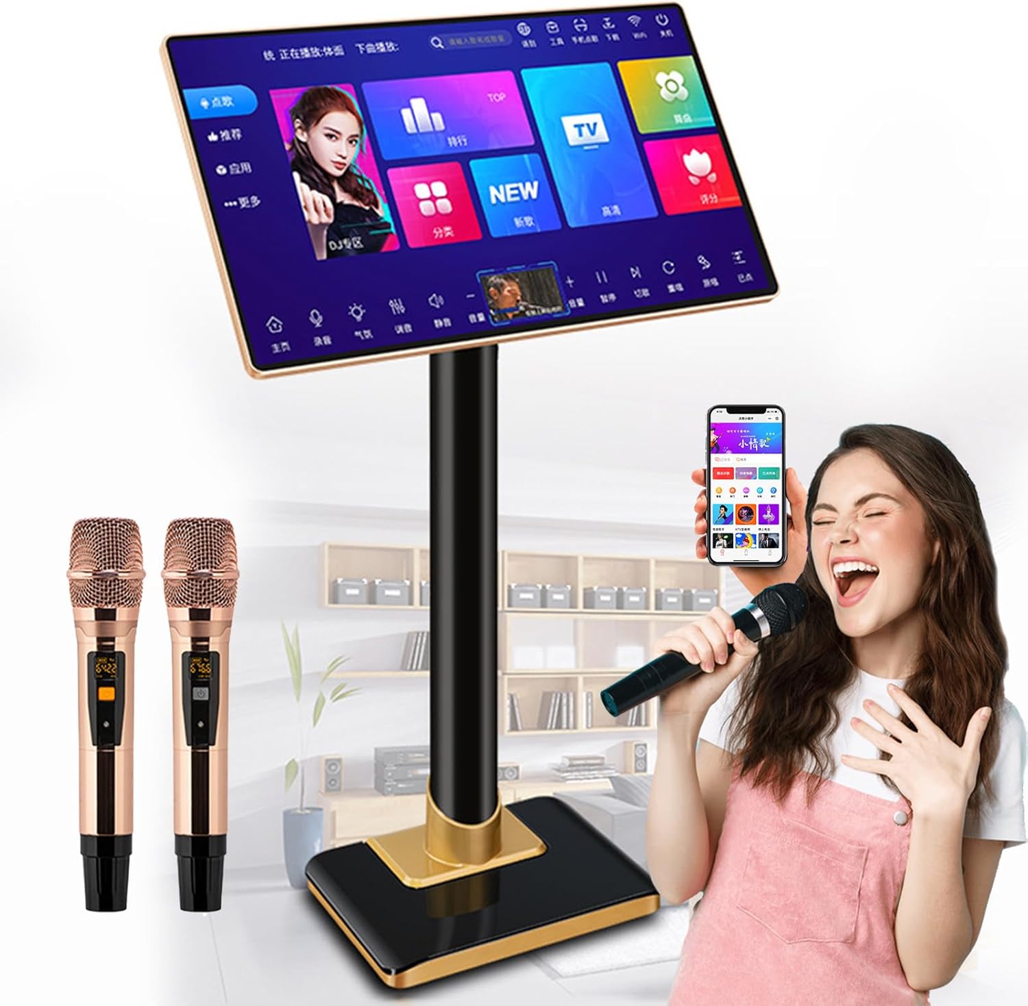 Máquina de karaoke profesional portátil - Pantalla 21.5 pulgadas - 2 micrófonos inalámbricos - Nube 500G-Havenupyard