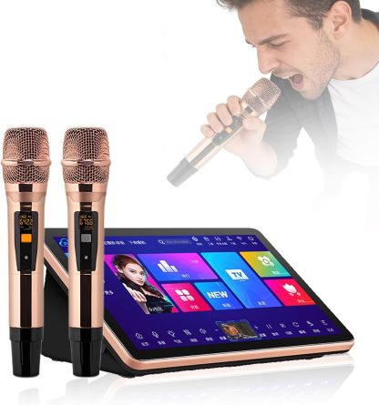Karaoke chino profesional todo en uno 18,5 pulgadas - pantalla táctil - control por voz y aplicación - canciones en la nube - modelo A 4T-Havenupyard