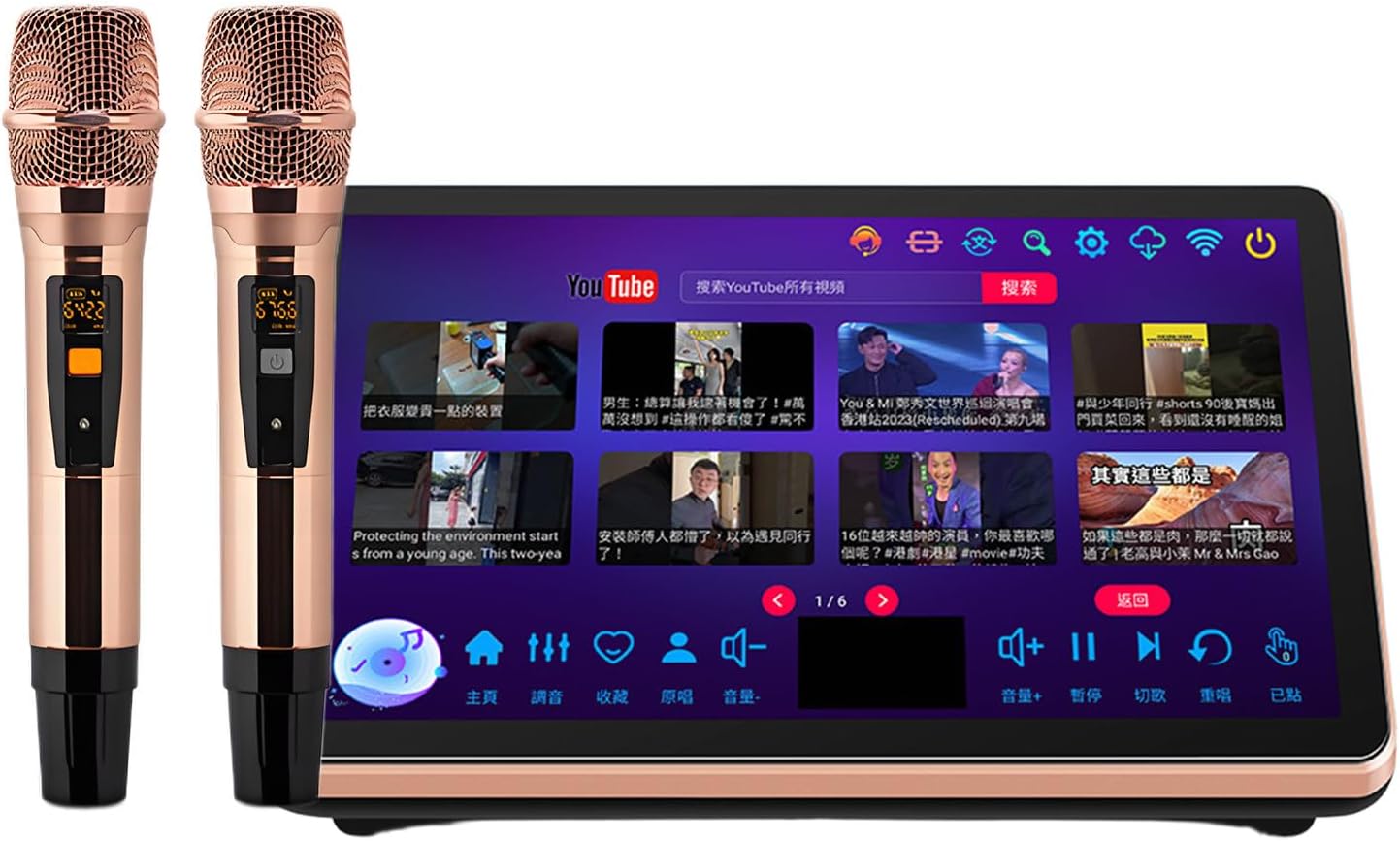 Máquina de karaoke profesional con pantalla táctil 18,5 pulgadas - dos micrófonos inalámbricos - interfaz multidioma - modelo A 1T-Havenupyard