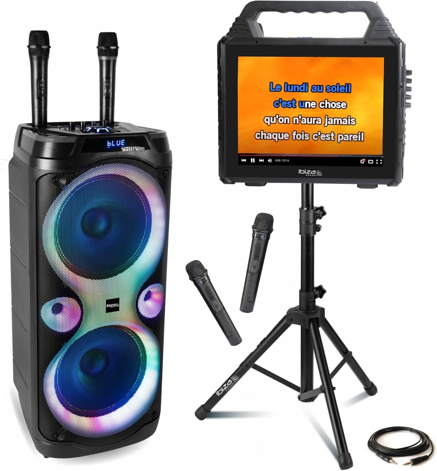 Ibiza KARAVISION pack karaoke portátil - Altavoz Bluetooth USB TWS 1000 W - 4 micrófonos VHF negro-Havenupyard