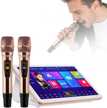 Karaoke chino profesional LURECAQING B-4T - pantalla táctil 18,5 pulgadas control por voz app y canciones en la nube-Havenupyard