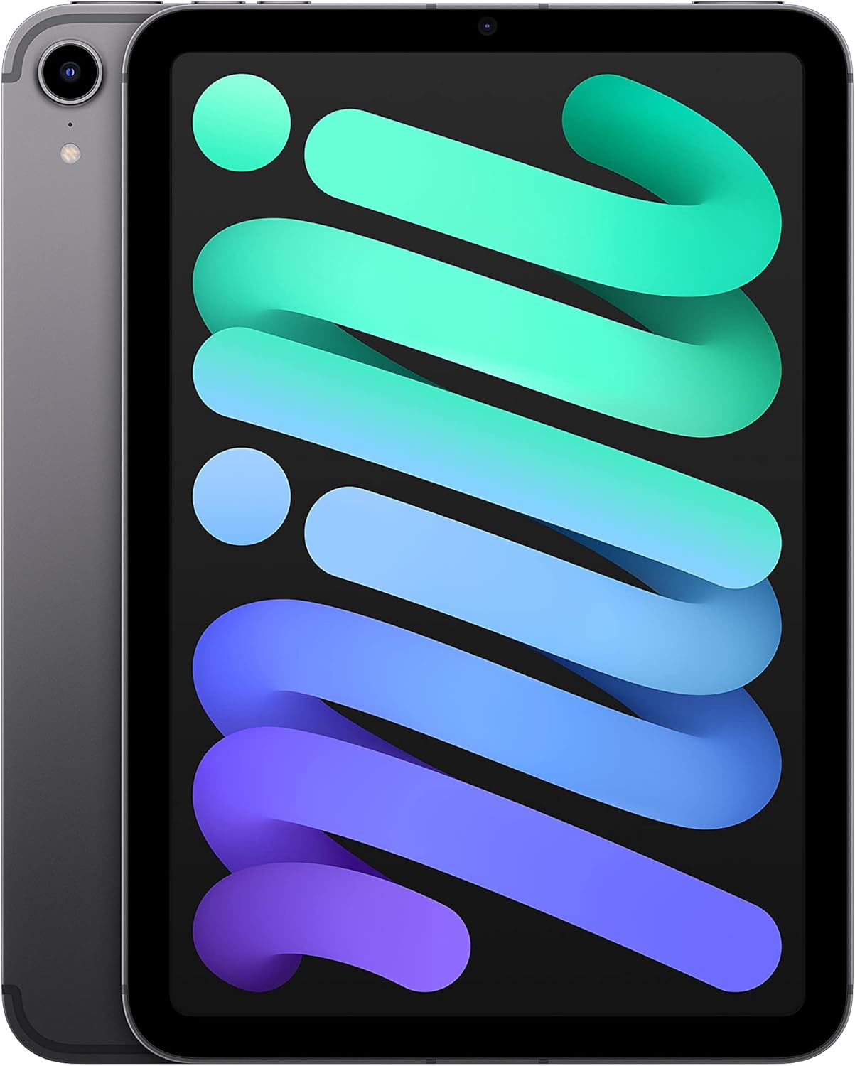 Apple iPad mini 2021 8,3 Zoll WiFi Cellular 64GB Space Grau generalüberholt Tablet mit iOS USB C und mobiler Konnektivität-Nestmyhut