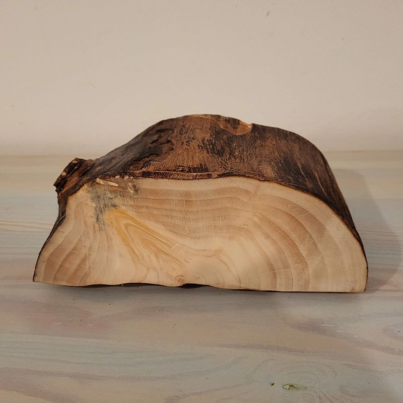 ECO Friendly Jewelry Aspen Log Box