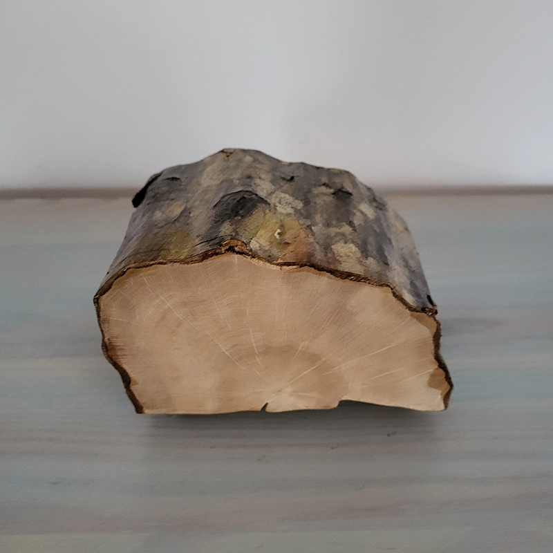 Hornbeam Log Box with Bark