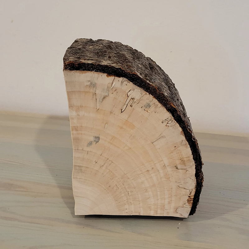 Natural Live Edge Jewelry Organizer with Drawer & Door