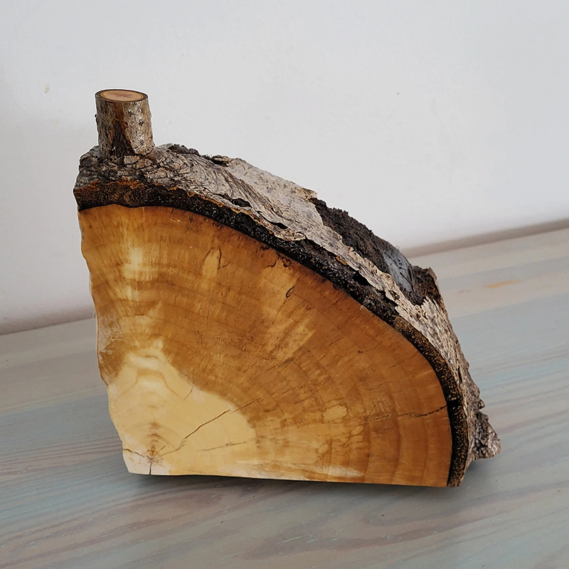 Handmade Rustic Tree Bark Storage Cabinet with Drawers