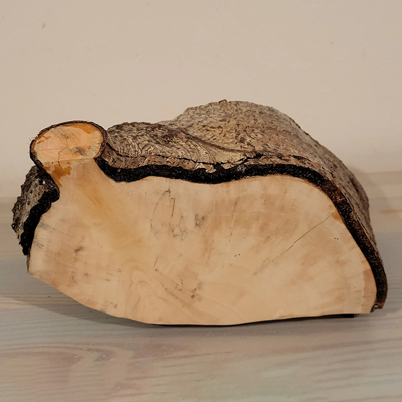 Upcycled Jewelry Aspen Log Box with Bark