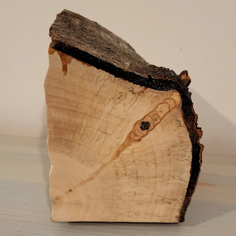 Handcrafted Tree Stump 4-Drawer Wood Box