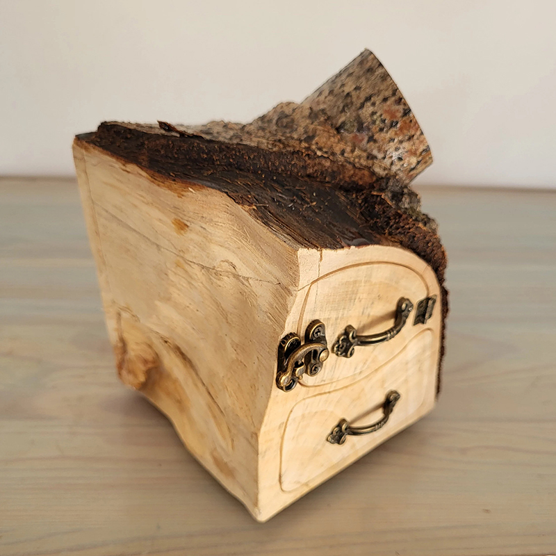 Natural Jewelry Aspen Log Box with Bark