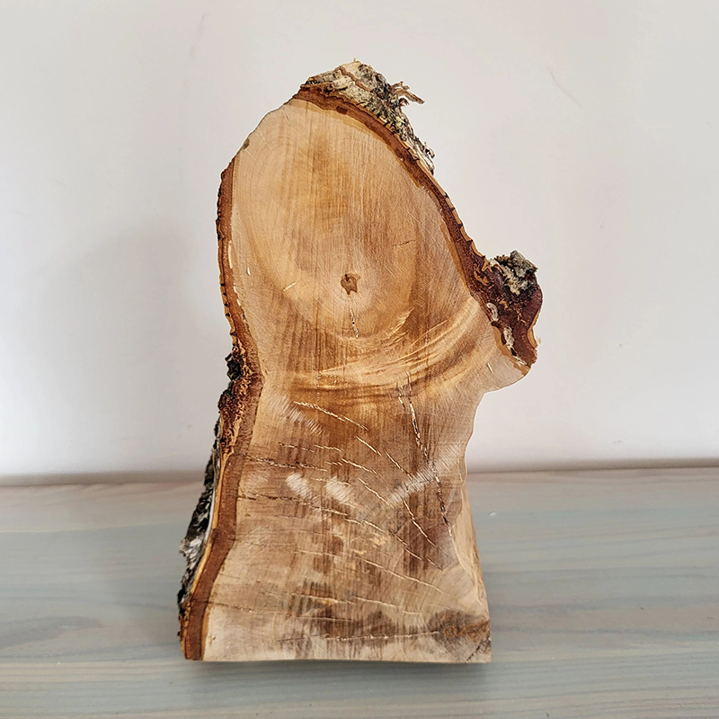 ECO friendly Jewelry Birch Log Box with Bark