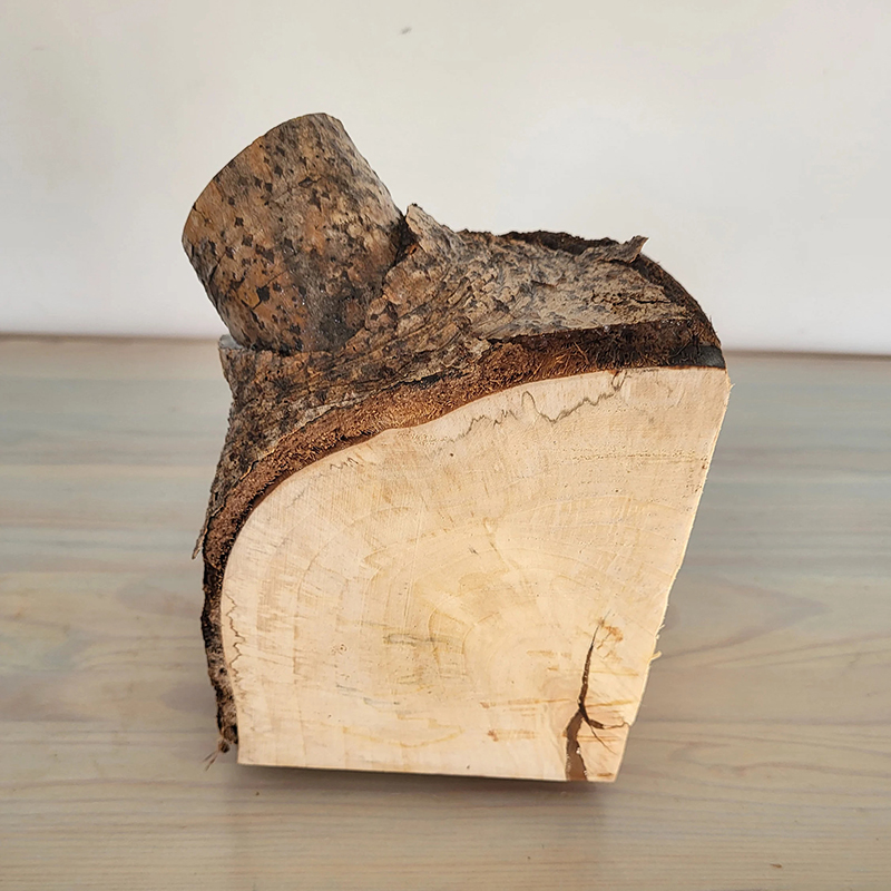 Natural Jewelry Aspen Log Box with Bark