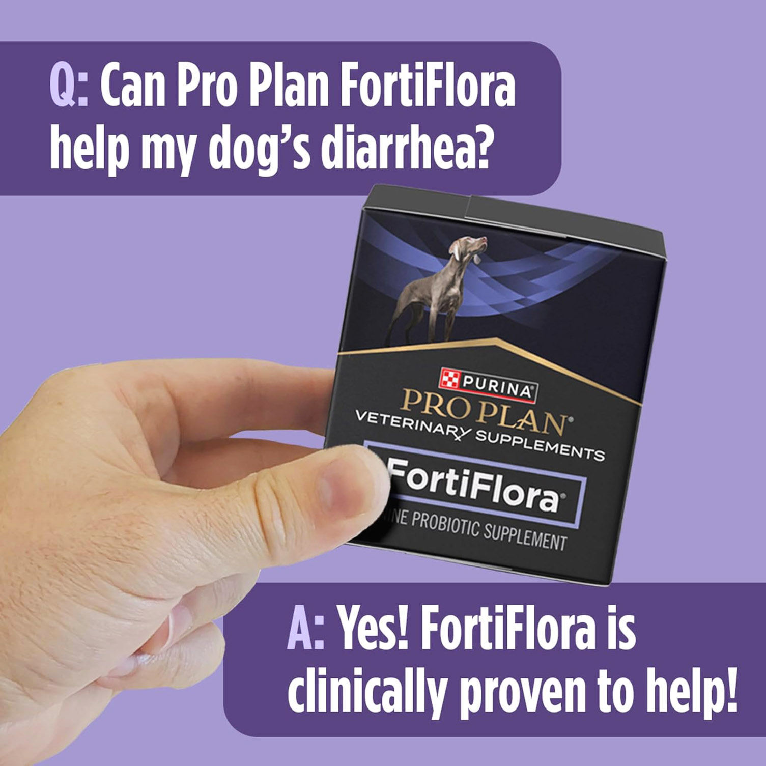 Pro Plan Nutritional Supplements, FortiFlora Probiotic Supplement for Dogs - 30 Count