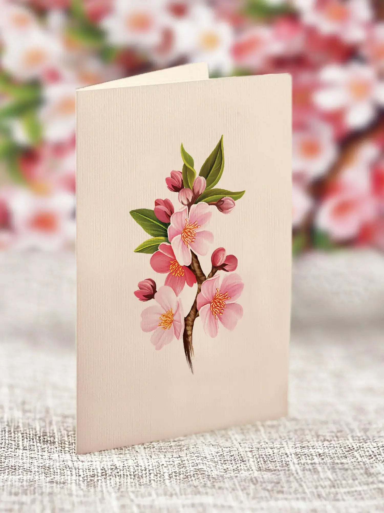 Grande Japanese Cherry Blossoms