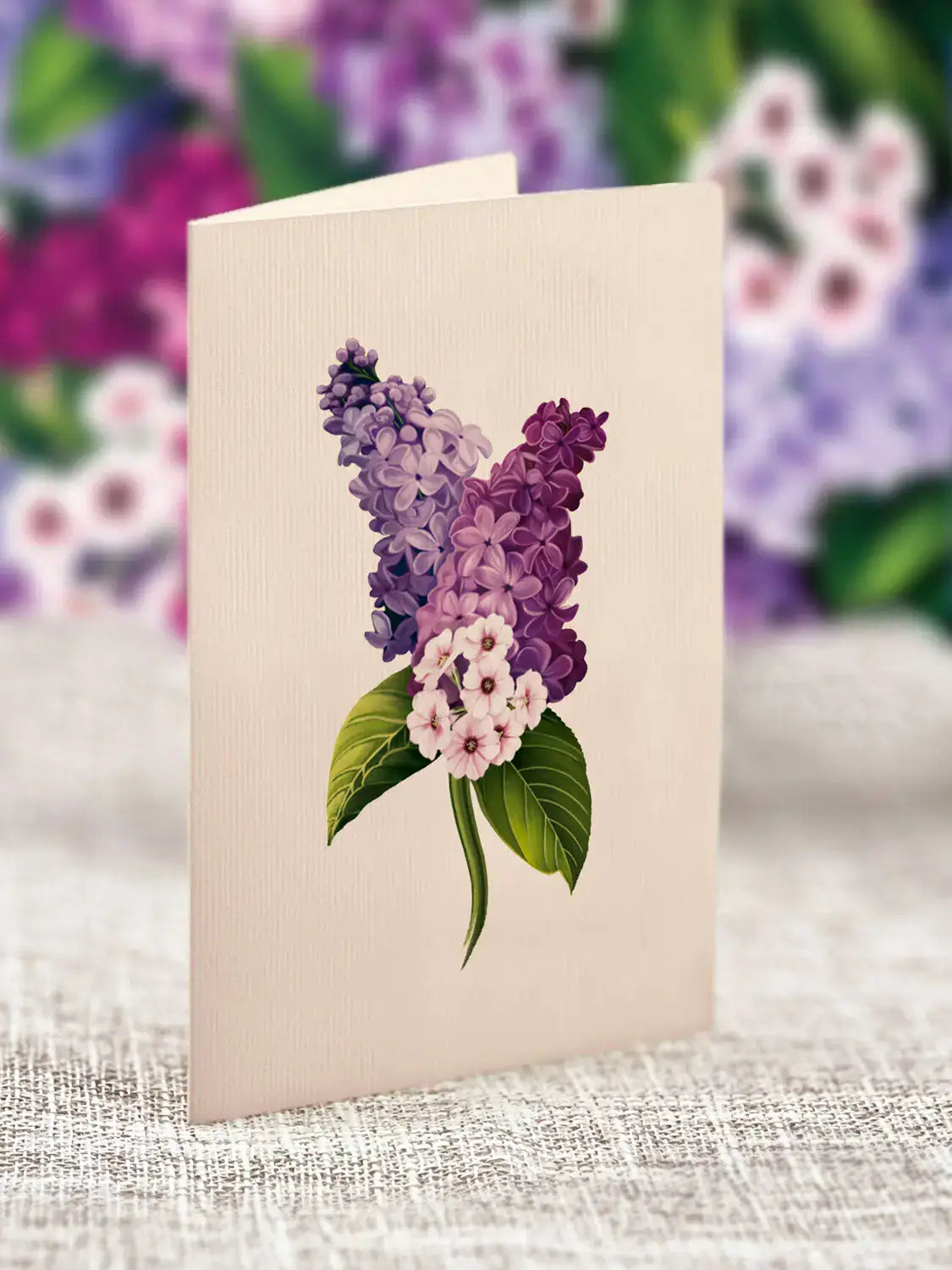 Grande Garden Lilacs