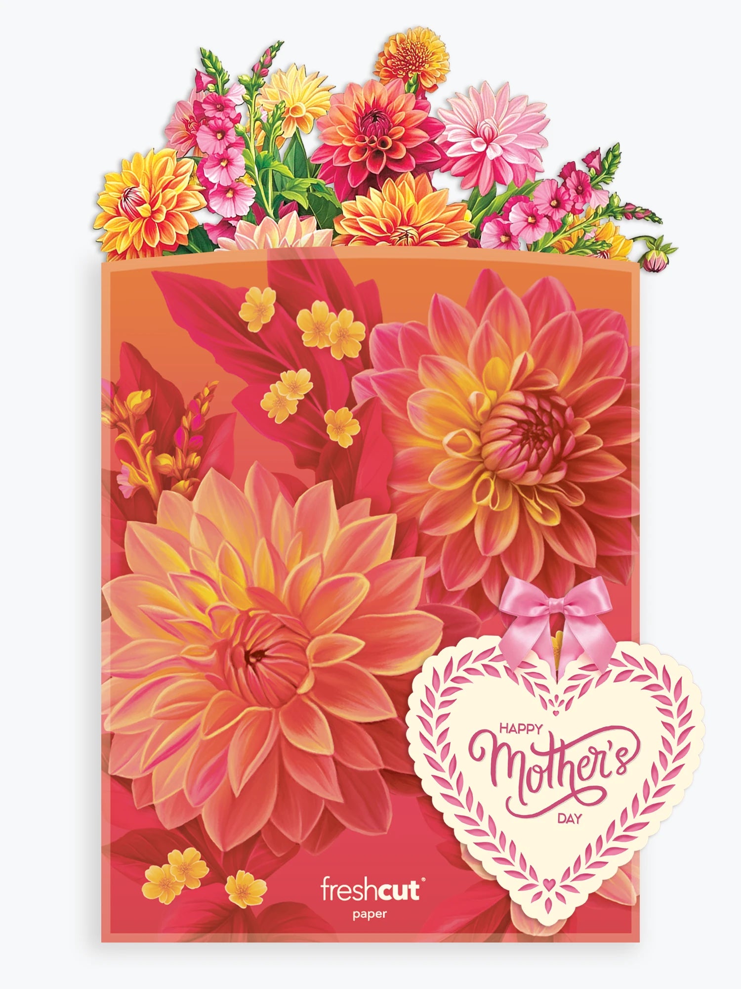 Grande Dahlia Sunrise + Free Heart