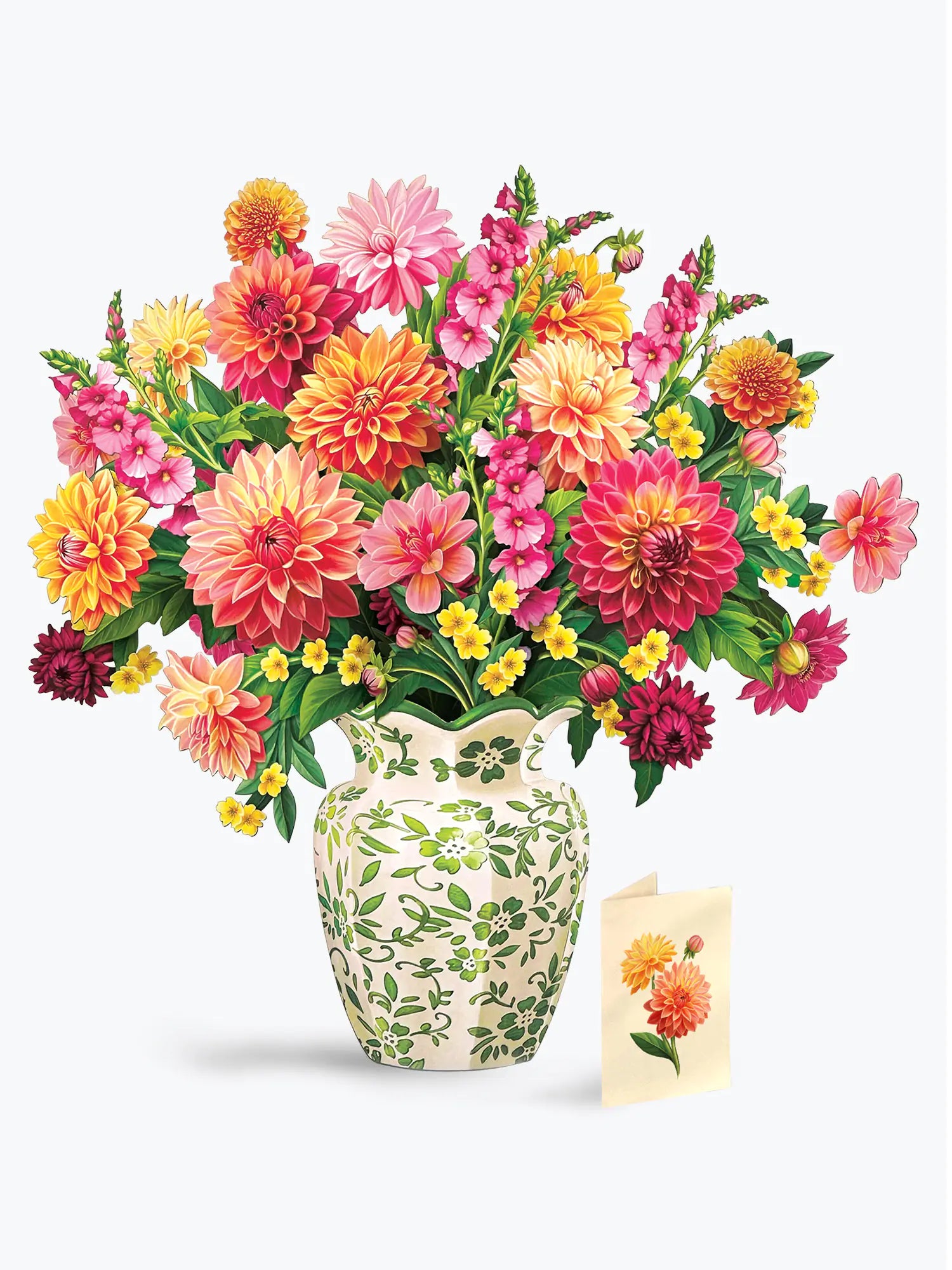 Grande Dahlia Sunrise