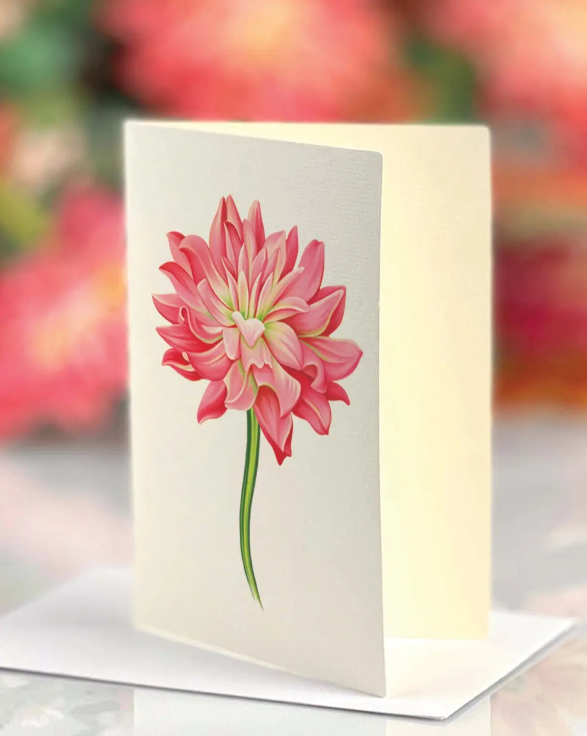 Grande Dear Dahlia