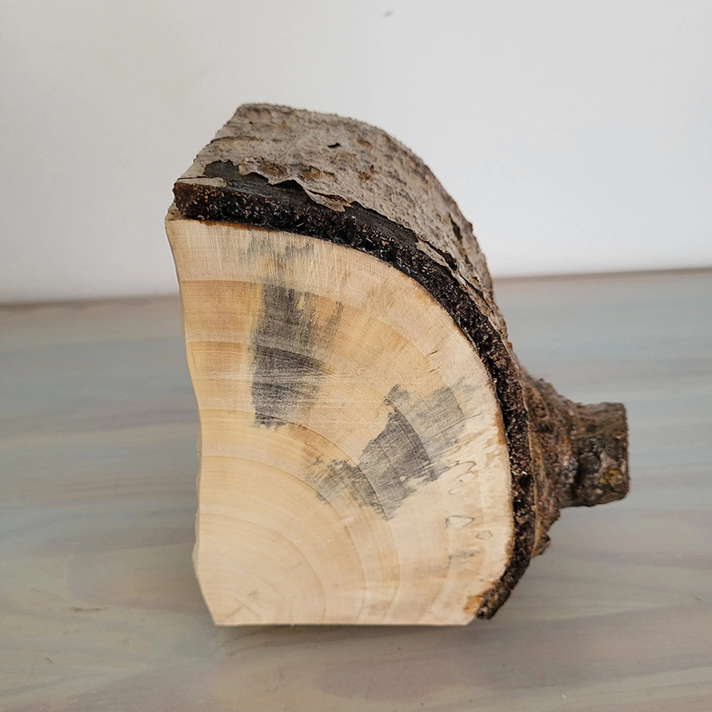 ECO friendly Jewelry Aspen Log Box with Bark