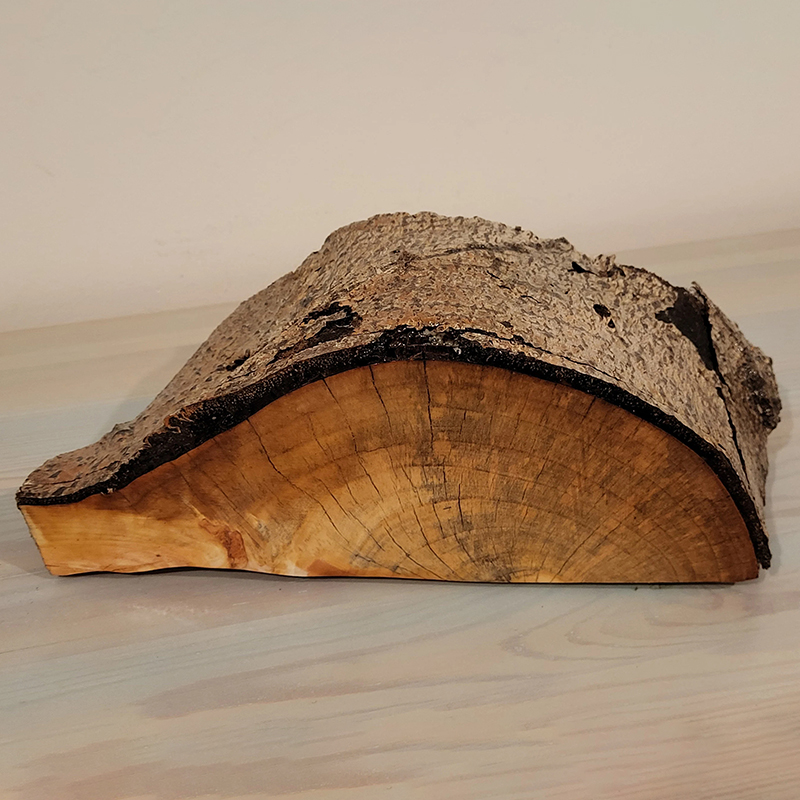 ECO friendly Jewelry Aspen Log Box with Bark