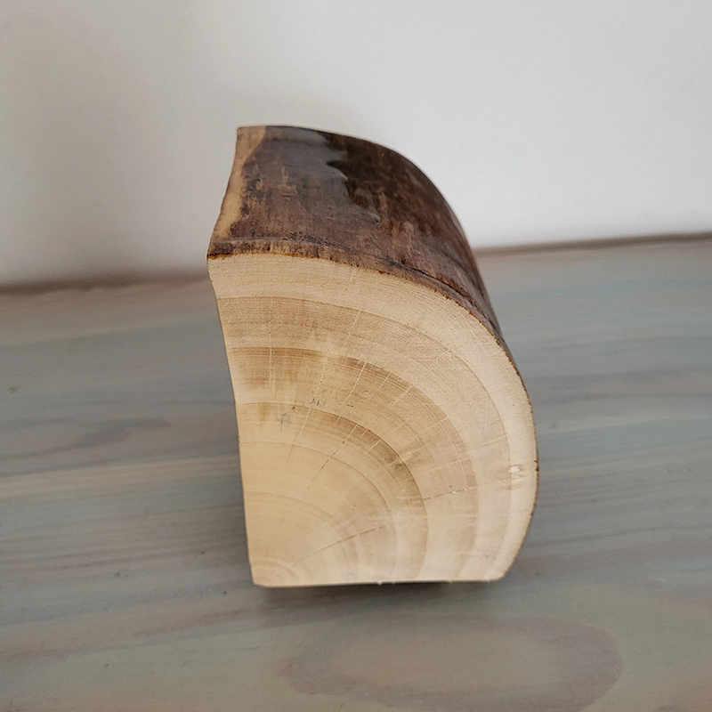 ECO friendly Jewelry Aspen Log Box