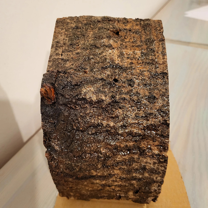 Handcrafted Tree Stump 4-Drawer Wood Box