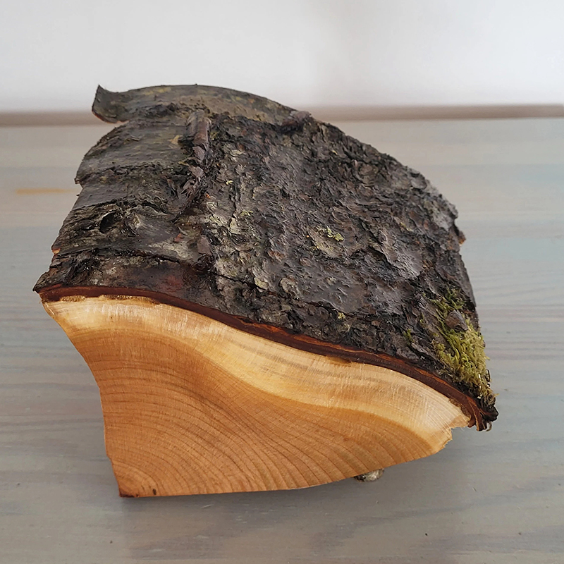 Upcycled cherry Jewelry Box with Bark and Moss