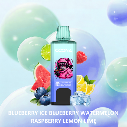 BANG BOX 120000 Puffs Disposable Vape