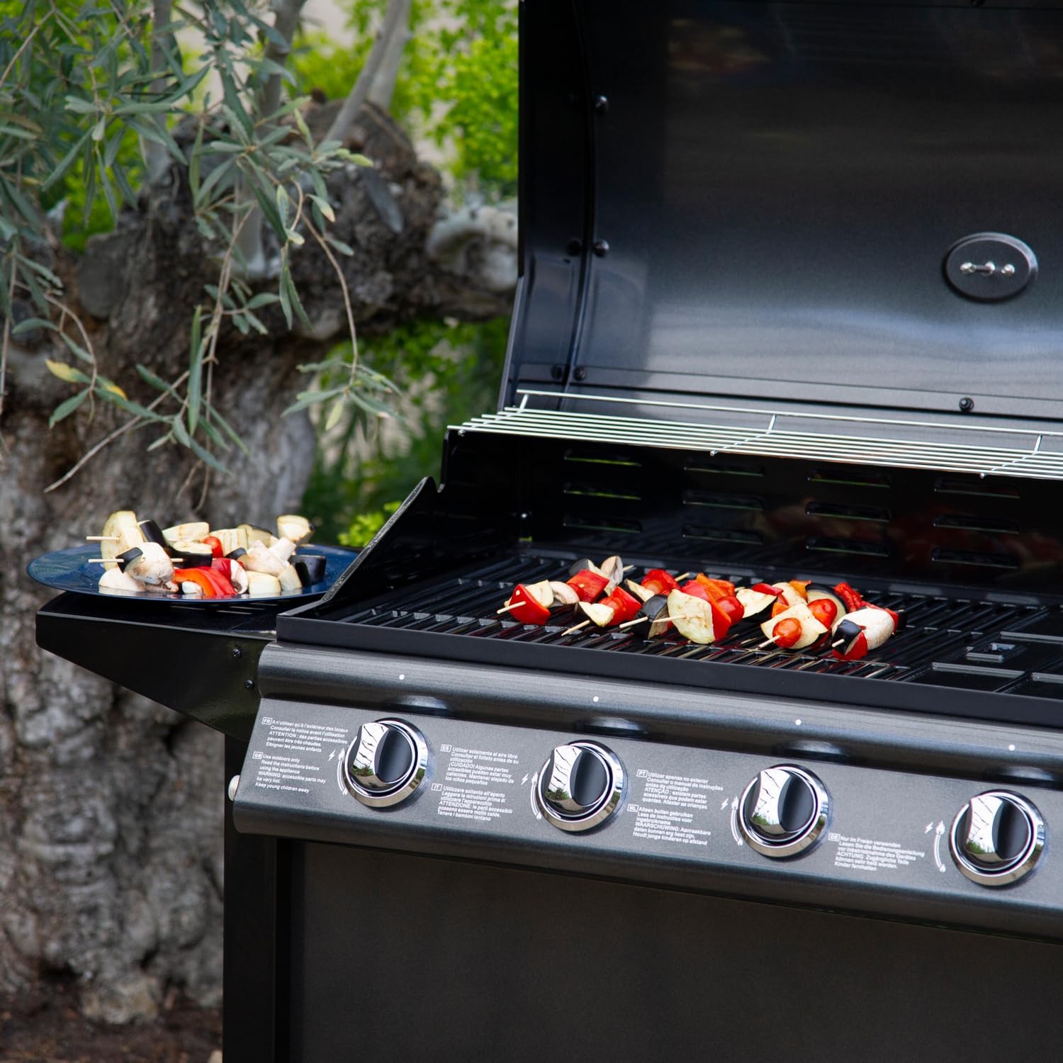 Happy Garden Barbecue au gaz RENO - 4 brûleurs avec thermomètre 14kW