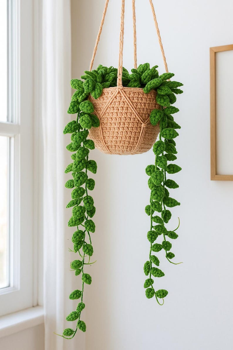 Suspension vigne crochet plante traînante intérieure sans entretien