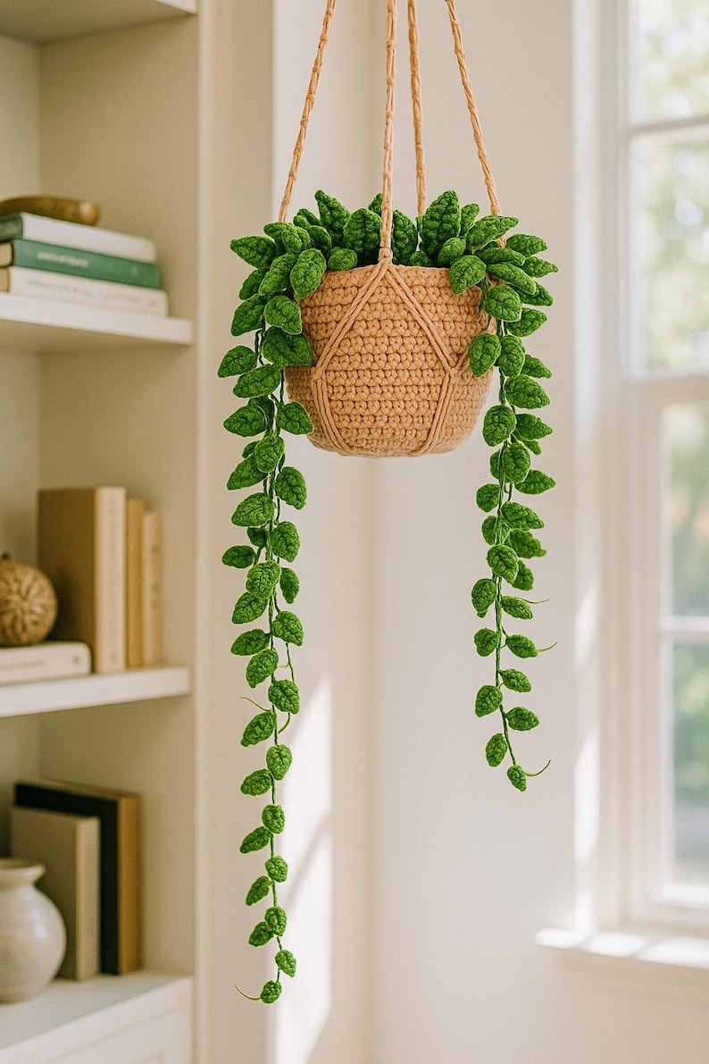 Suspension vigne crochet plante traînante intérieure sans entretien