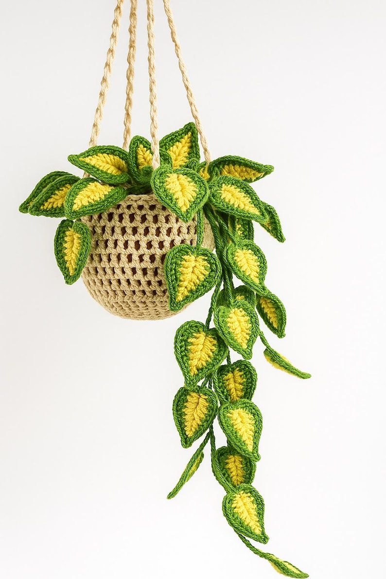 Suspension plante crochet verdure murale bohème panier macramé
