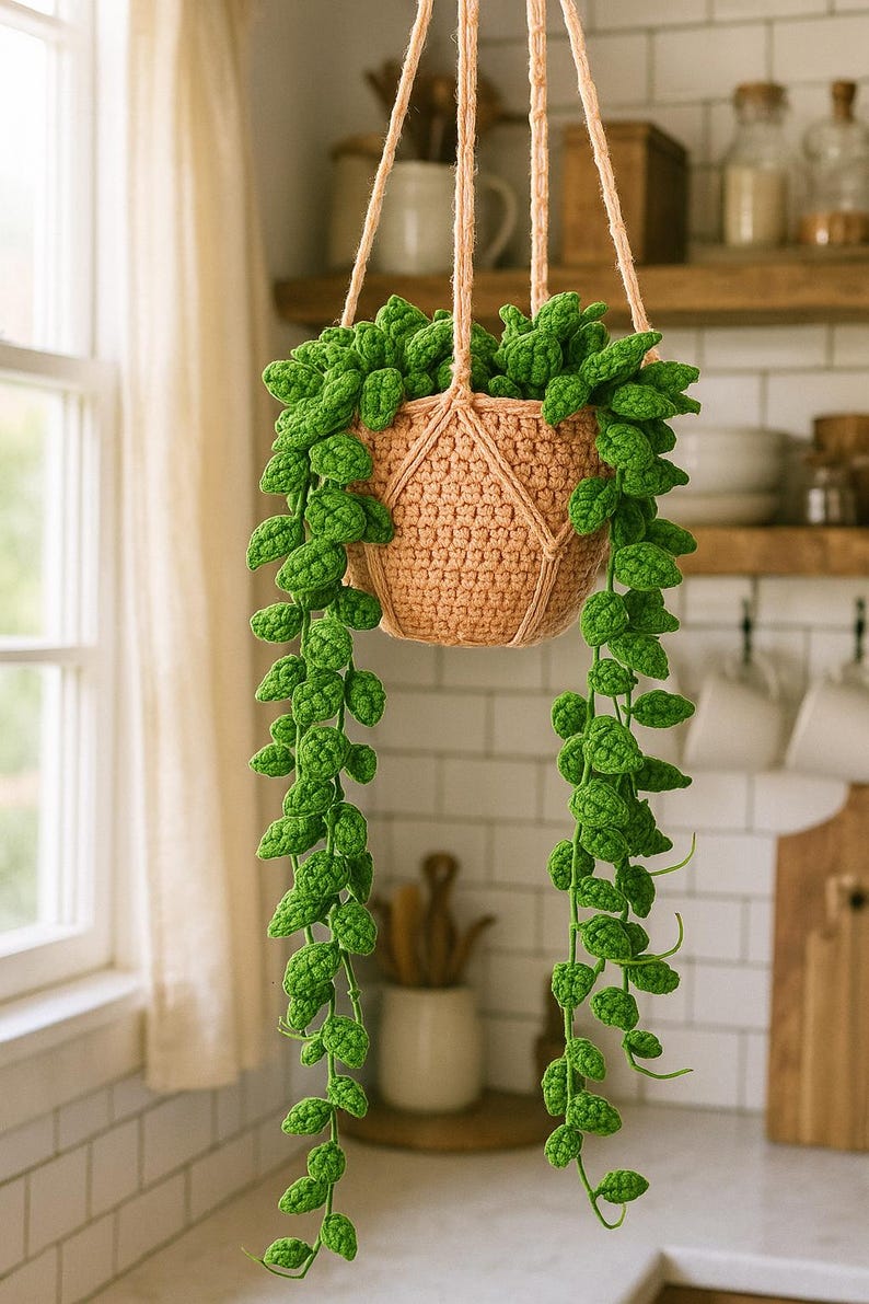 Suspension vigne crochet plante traînante intérieure sans entretien