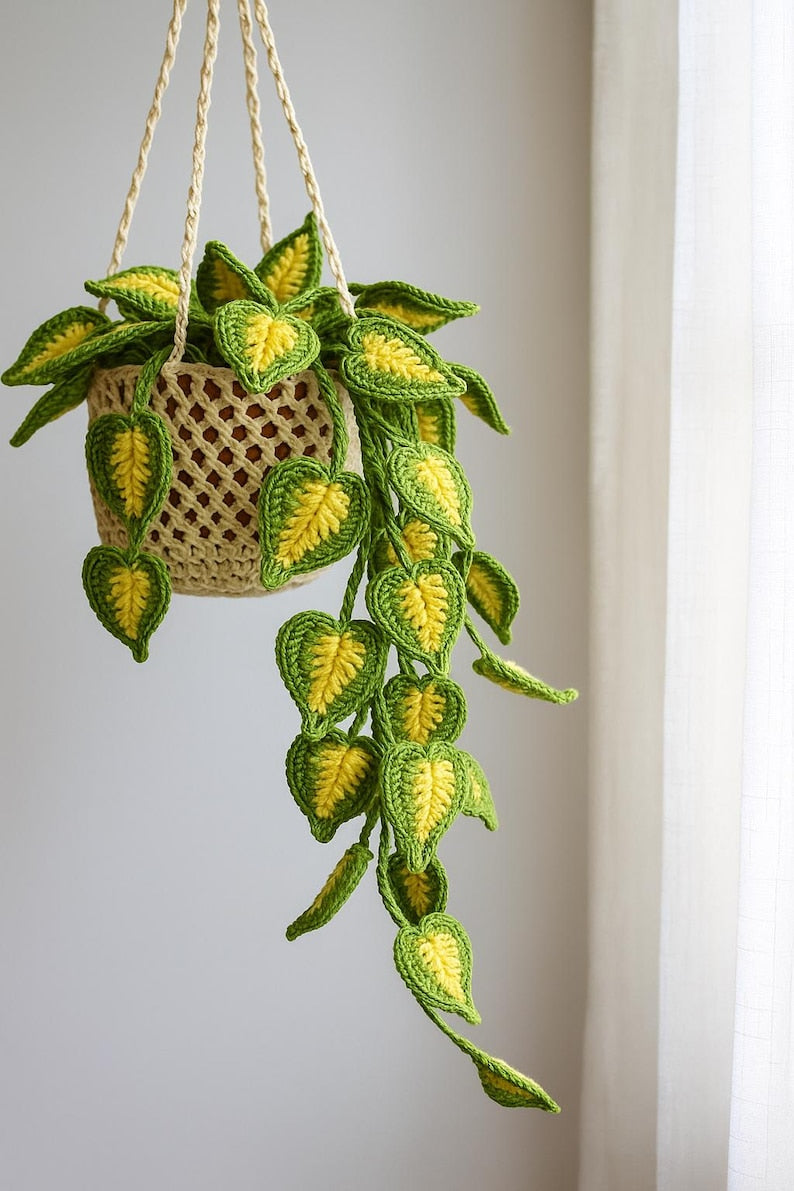 Suspension plante crochet verdure murale bohème panier macramé