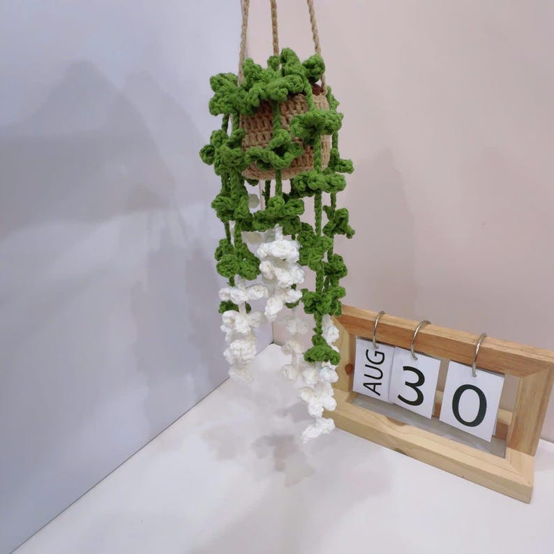 Suspension plante crochet voiture rose violet blanc jaune rouge