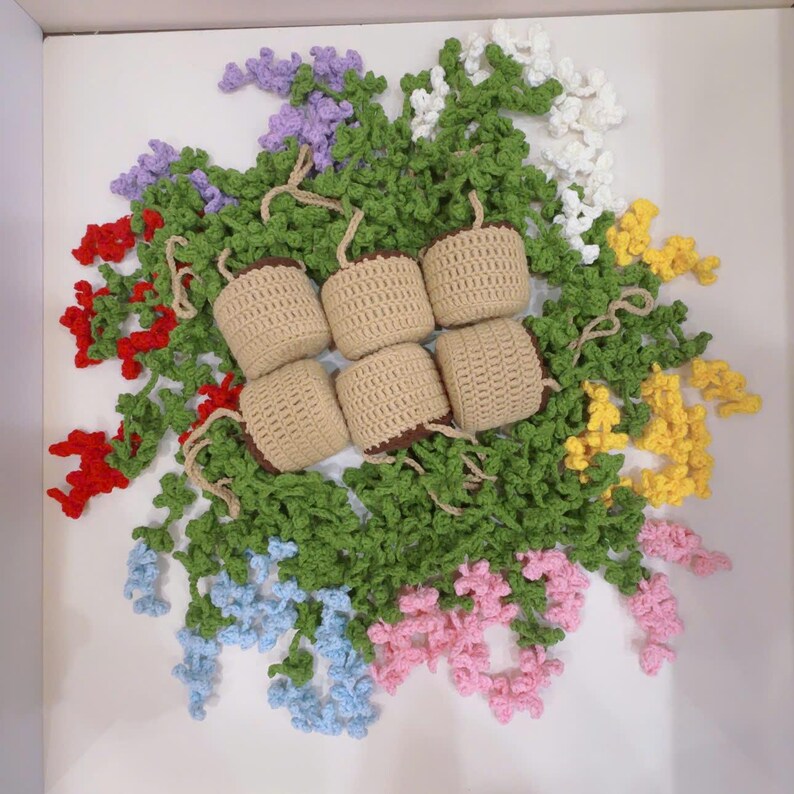 Suspension plante crochet voiture rose violet blanc jaune rouge