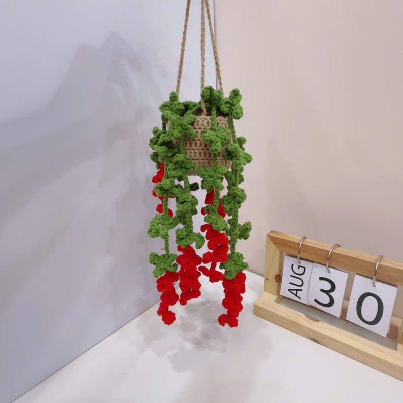 Suspension plante crochet voiture rose violet blanc jaune rouge