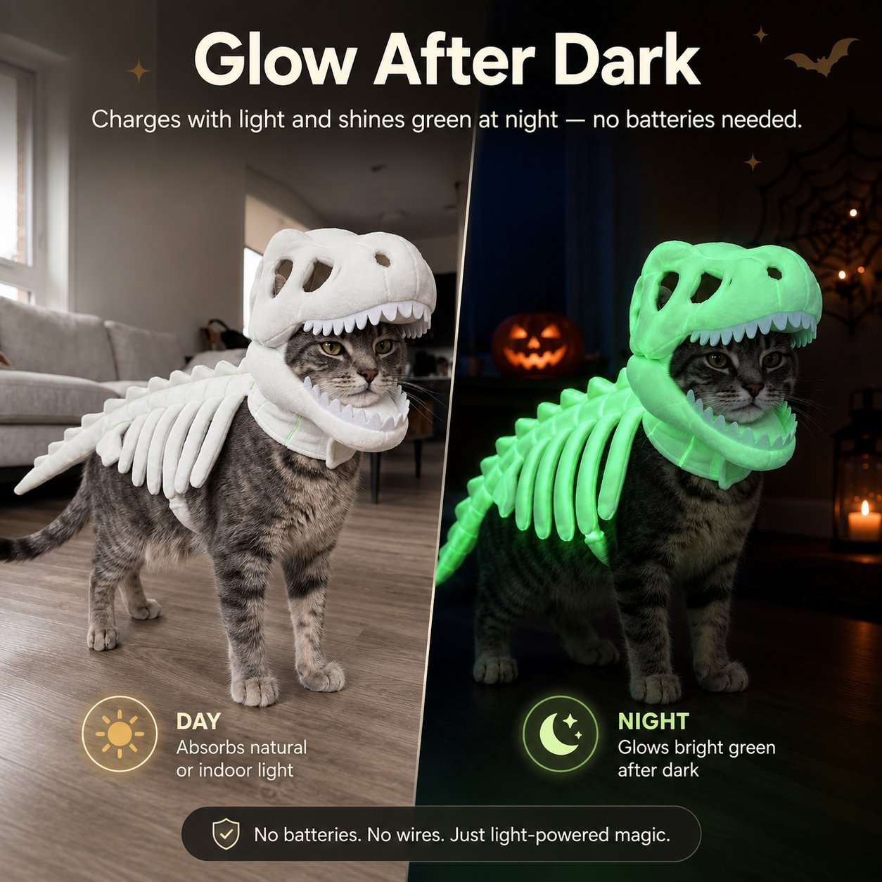 Glow Dinosaur Skeleton Cat Costume 🦖 Funny Halloween