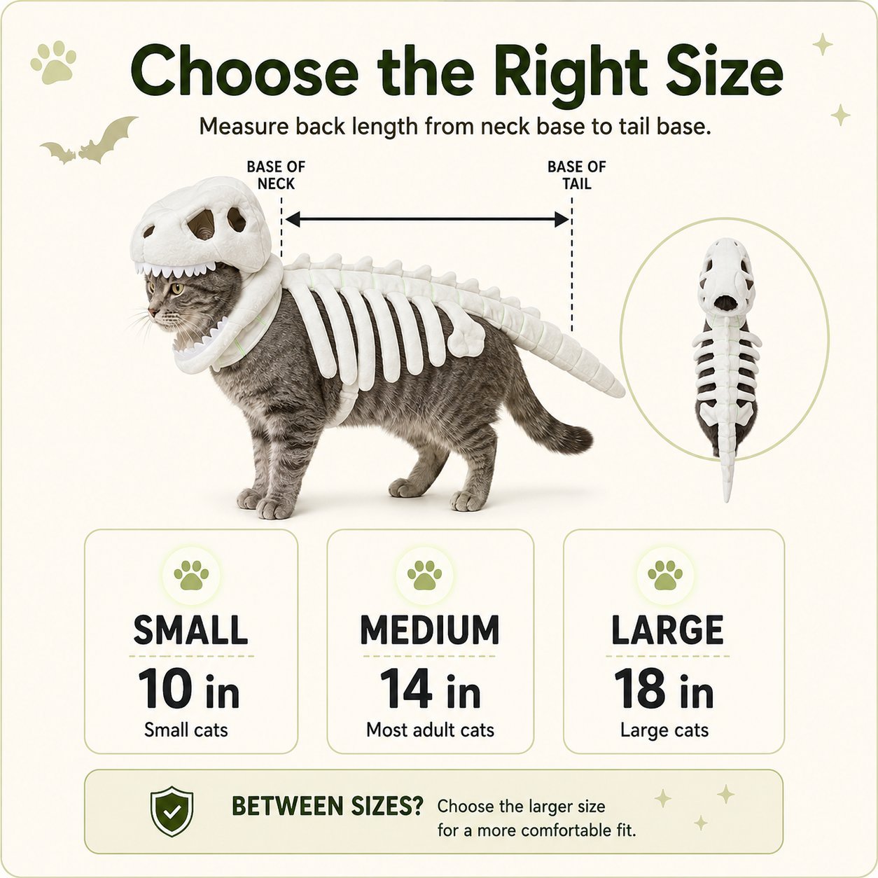Glow Dinosaur Skeleton Cat Costume 🦖 Funny Halloween