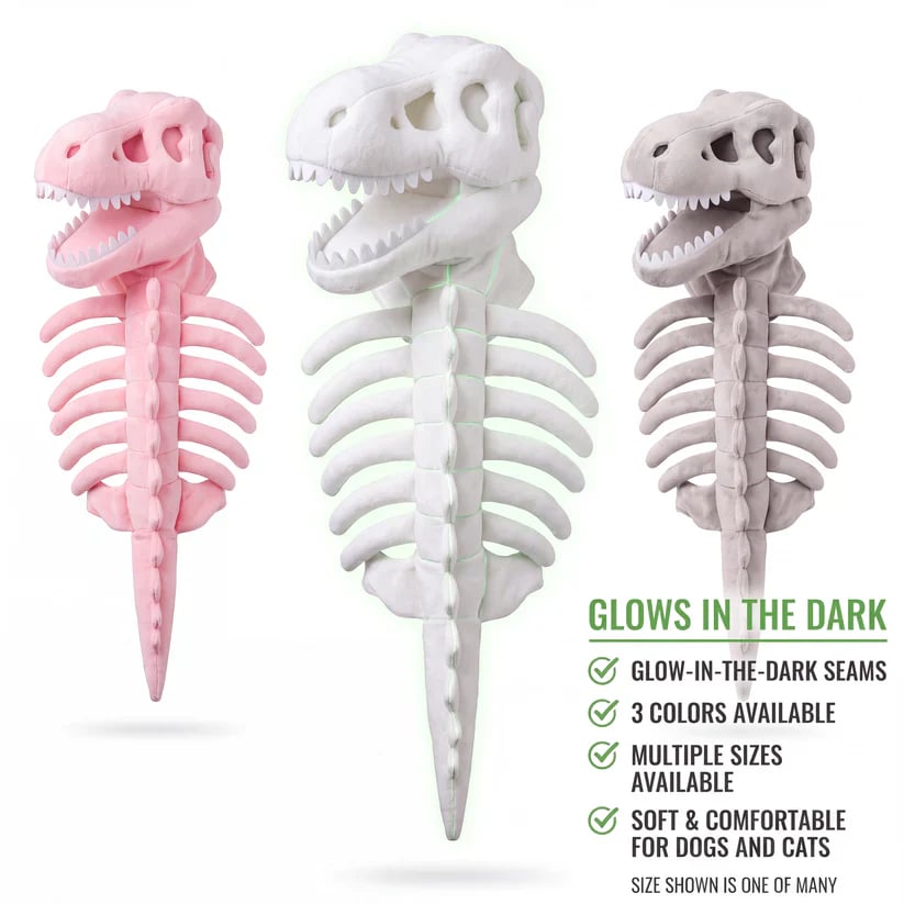 Glow Dinosaur Skeleton Cat Costume 🦖 Funny Halloween