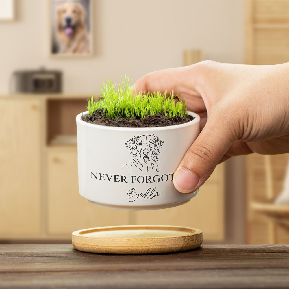 Dog Cat Pet Line Design Ceramic Succulent Planter Pot with Name and Bamboo Tray Loss of Pet Memorial Gift for Pet Owner