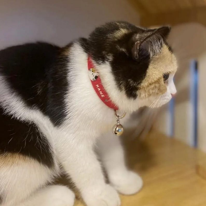 Hand Embroidered Cat Collar: Personalized Cotton Linen, Breakaway Kitten Collar