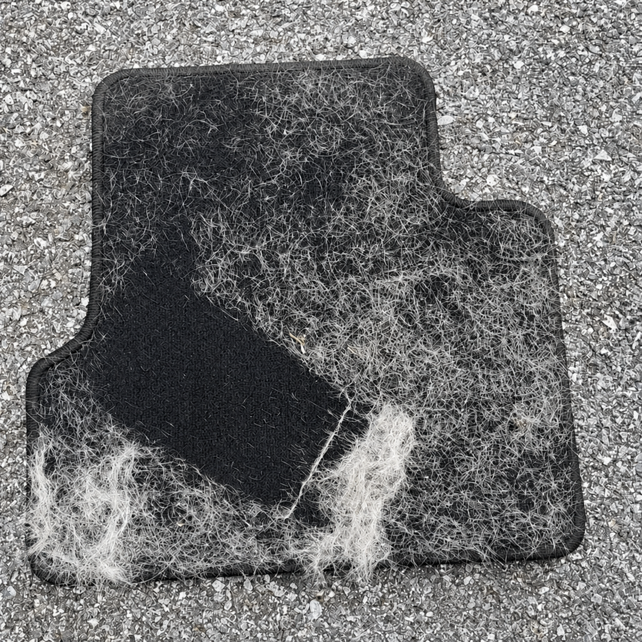 Pet hair collected from fabric floor mats