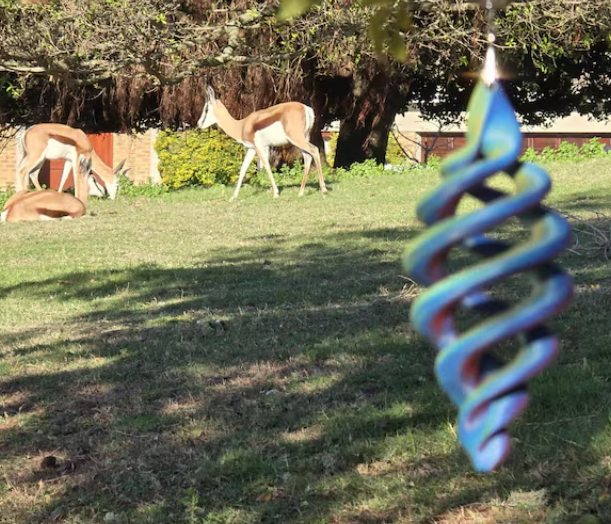 Spectrum Wind Spinner in backyard garden