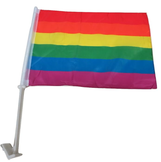 Rainbow Pride 12" x 18" Car Window Flag Gay Lesbian LGBT Equality